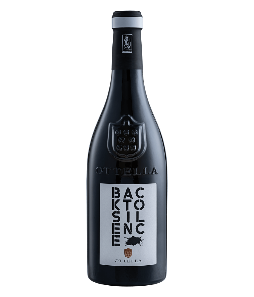 Back to Silence Lugana DOC · 0,75 l Normflasche · Magnum home & wine