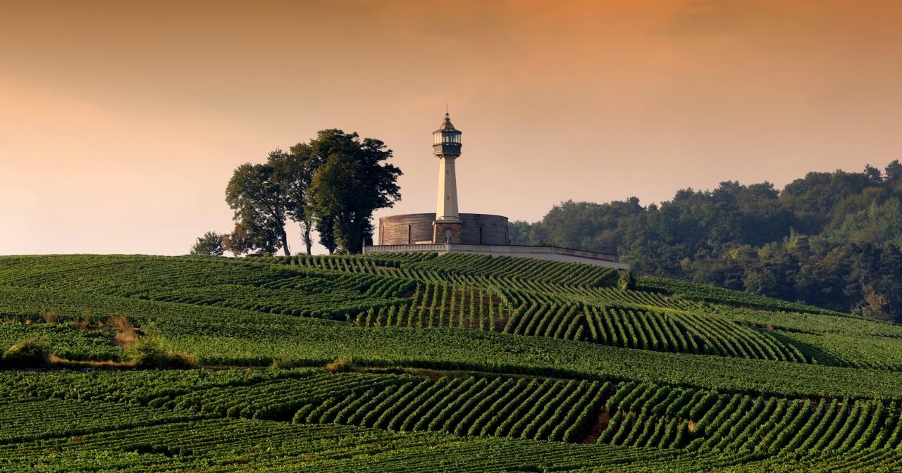 Banner bei Magnum home & Wine Collections