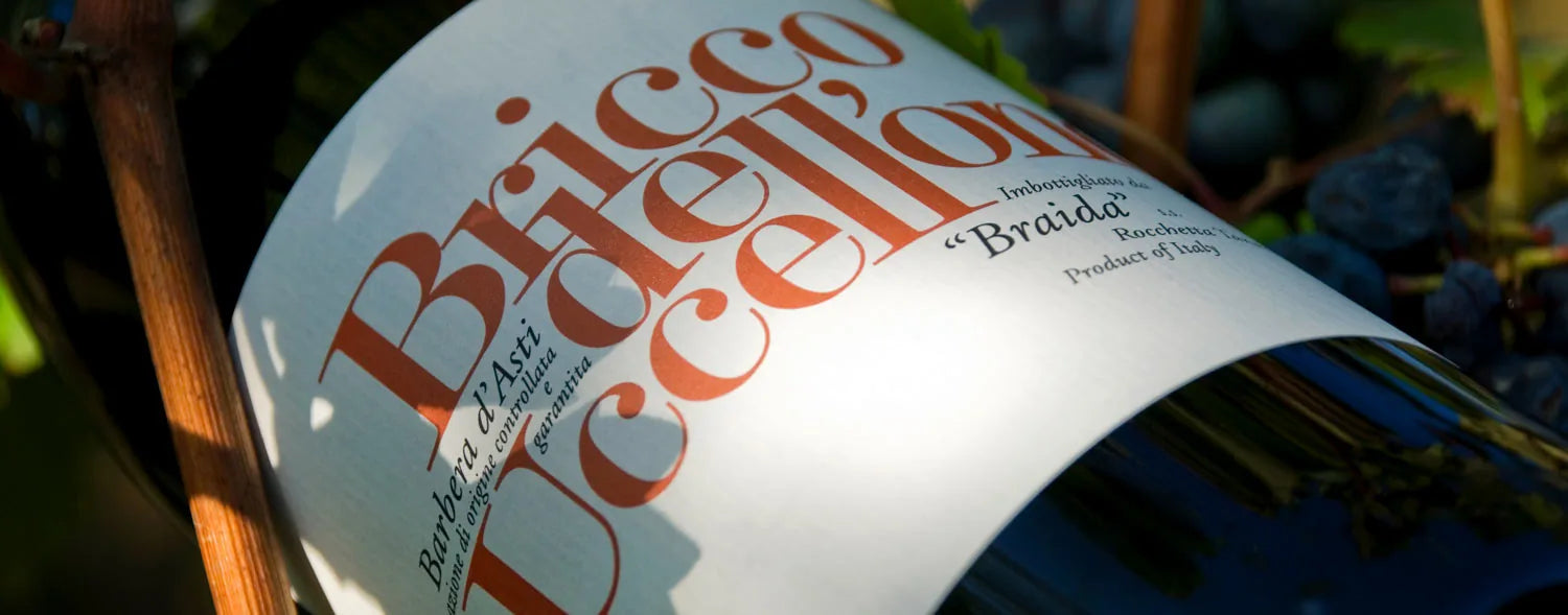 Braida – Bricco dell'Uccellone Barbera d'Asti Flasche im Weinberg