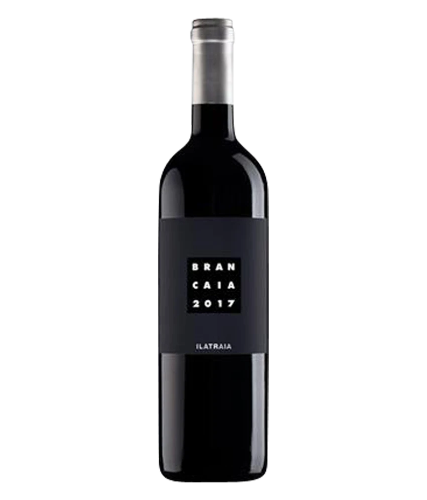 Brancaia Ilatraia IGT 2021 · Magnum 1,5 l · Magnum home & wine