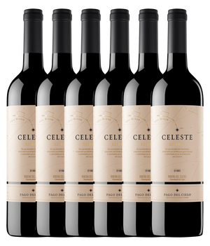 Miguel Torres Celeste Reserva Ribera del Duero 2021 · 6er Édition (6 × 0,75 l) · Magnum home & wine