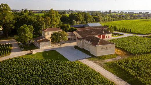 Château Haut-Bages-Libéral inmitten seiner Weinberge in Pauillac