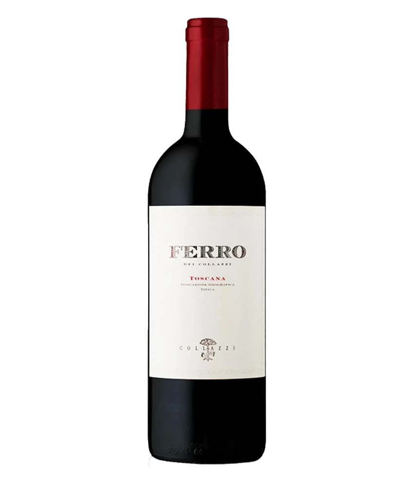 Ferro Toscana IGT Normflasche 0,75 l · Magnum home & wine