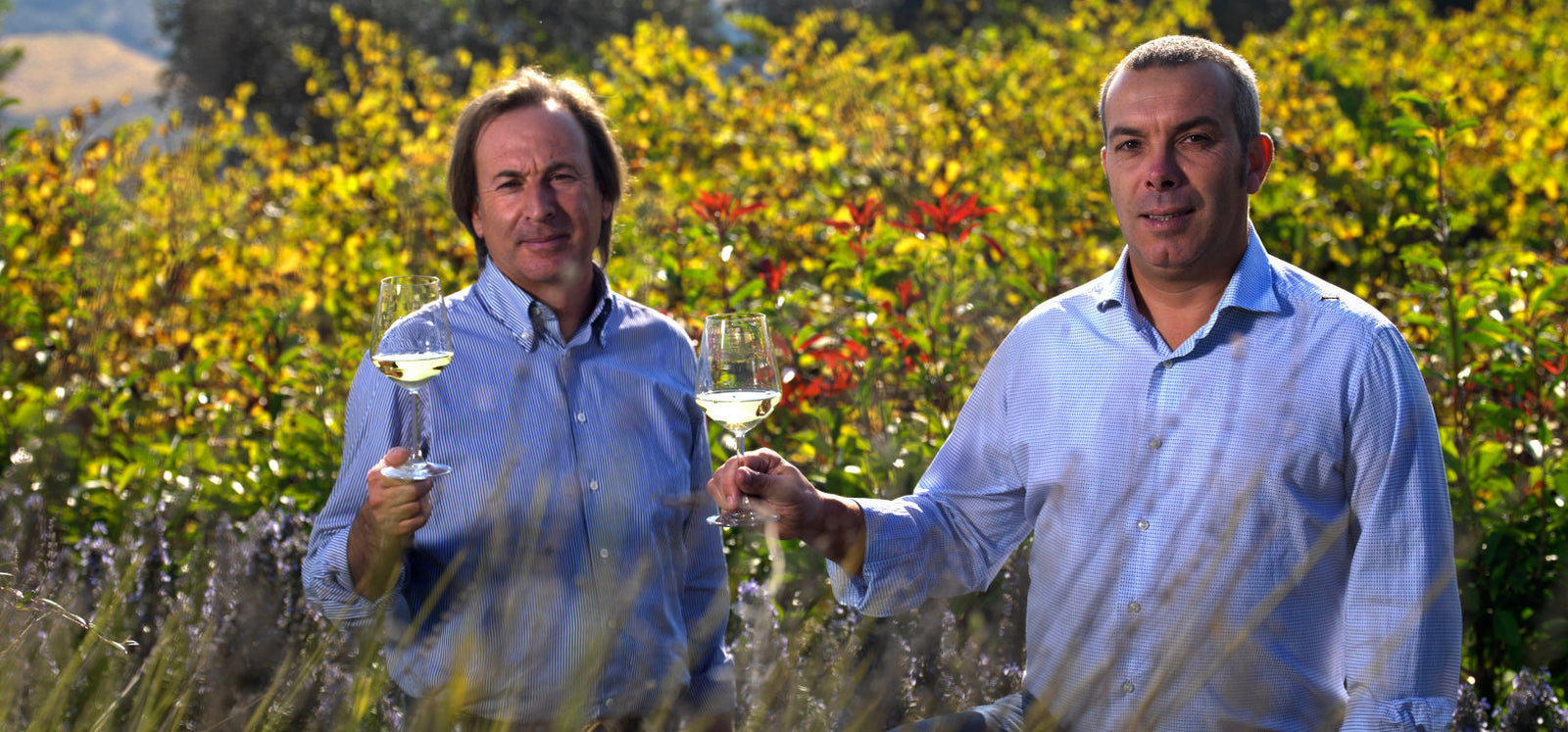 collefrisio-antonio-patricelli-amedeo-de-luca-la-cantina-bei magnum home & wine