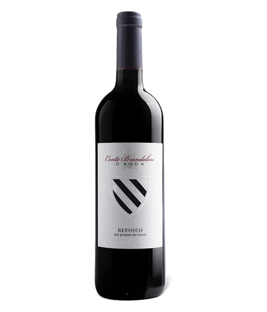 Conte Brandolini  Refosco dal Peduncolo 2013 Bio · Magnum home & wine