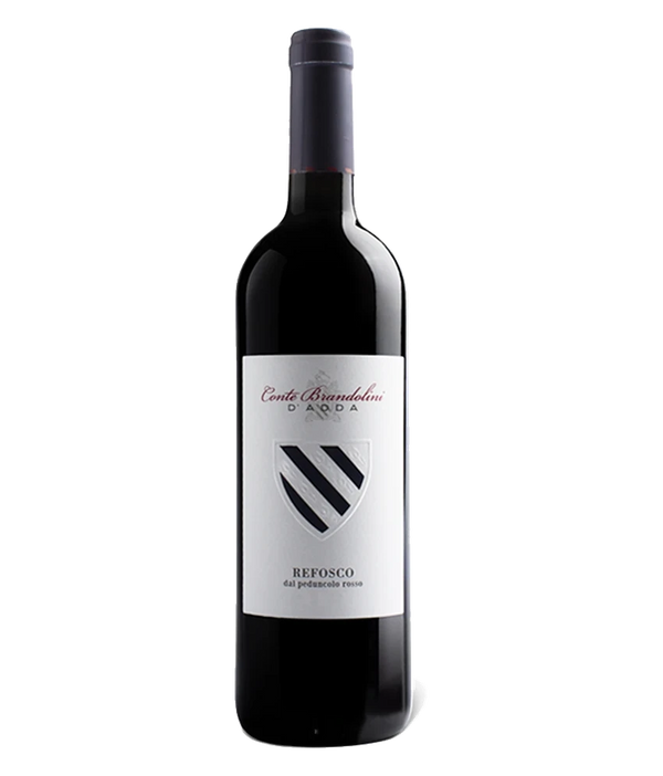 Conte Brandolini  Refosco dal Peduncolo 2013 Bio · Magnum home & wine