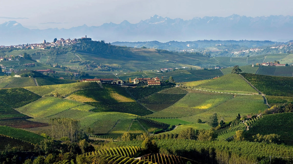 Weinberge der Langhe mit Blick auf La Morra, Cordero di Montezemolo