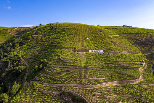 Steile Weinberge von E. Guigal an der nördlichen Rhône