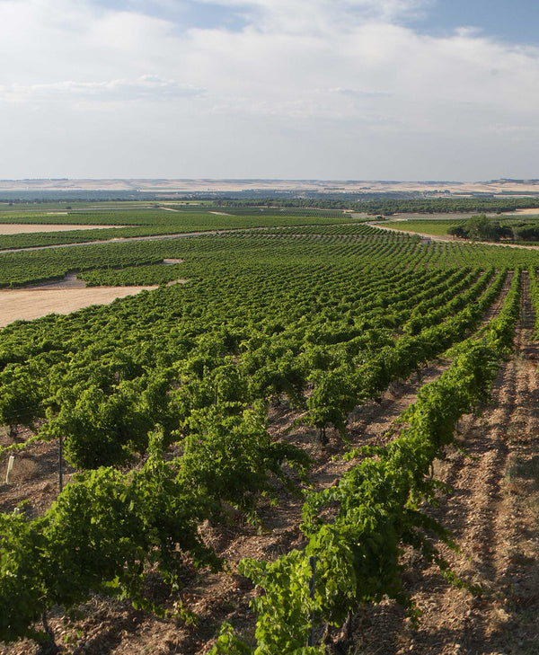 Weingut Domaines Francois Lurton