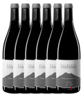 Palmento Costanzo Etna Rosso Nero di Sei 2016 · 6er Édition (6 × 0,75 l) · Magnum home & wine