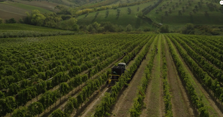 Weingut Fantini