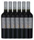 Haras de Pirque Galantas Cabernet Franc Gran Reserva 2021 · 6er Édition (6 × 0,75 l) · Magnum home & wine