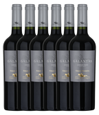 Haras de Pirque Galantas Cabernet Franc Gran Reserva 2021 · 6er Édition (6 × 0,75 l) · Magnum home & wine