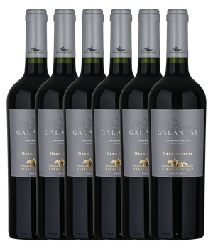 Haras de Pirque Galantas Cabernet Franc Gran Reserva 2021 · 6er Édition (6 × 0,75 l) · Magnum home & wine