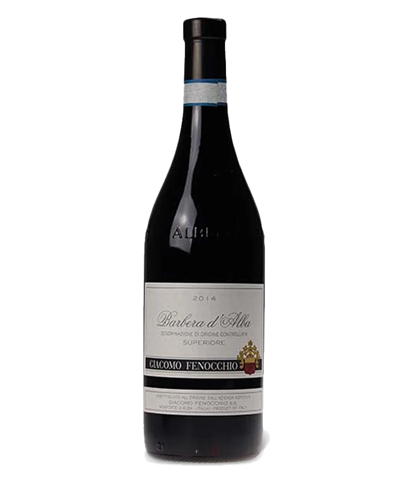 Giacomo Fenocchio Barbera d'Alba Superiore DOC 2015 · 0,75 l Normflasche · Magnum home & wine