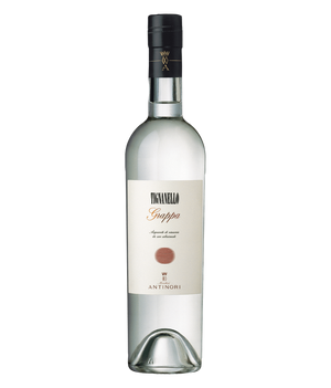 Grappa di Tignanello Antinori · 0,5 l Flasche · Magnum home & wine