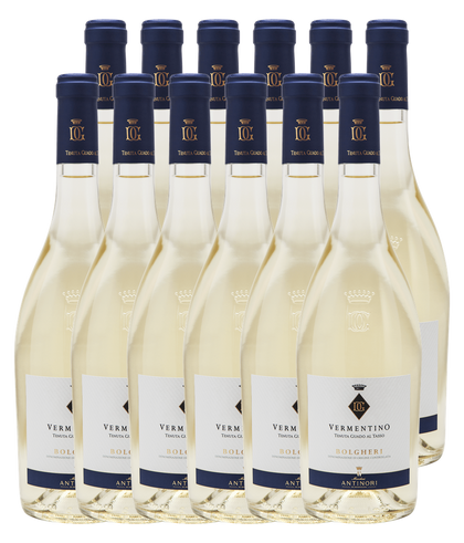 Guado al Tasso Vermentino Bolgheri DOC 2024 · Zwölfer Édition (12 × 0,75 l) · Magnum home & wine