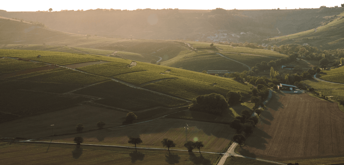 Domaine Hubert Brochard