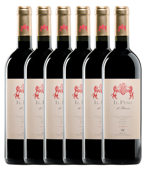 Il Pino di Biserno Toscana IGT 2023 · Sechser Édition (6 × 0,75 l) · Magnum home & wine