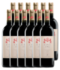 Il Pino di Biserno Toscana IGT 2023 · Zwölfer Édition (12 × 0,75 l) · Magnum home & wine