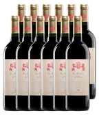 Il Pino di Biserno Toscana IGT 2023 · Zwölfer Édition (12 × 0,75 l) · Magnum home & wine