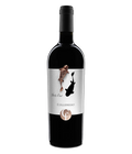 Collefrisio In & Out Montepulciano d'Abruzzo DOC 2019 · 0,75 l Normflasche · Magnum home & wine