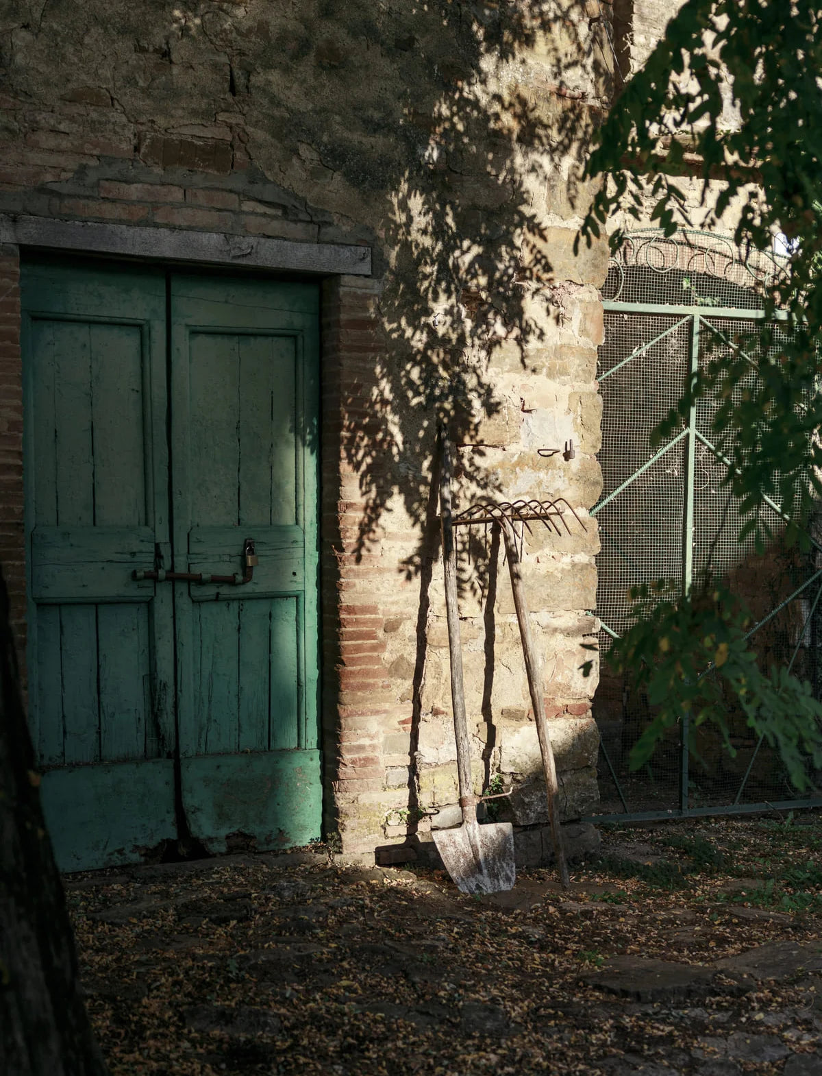 Isole e Olena Weingut