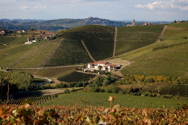 Weingut Marchesi di Gresy