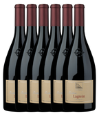 Lagrein 2025 · Sechser Édition (6 × 0,75 l) · Magnum home & wine