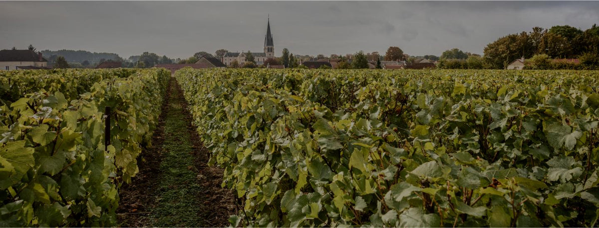 Laurent-Perrier
