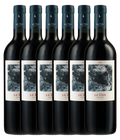Los Vascos Le Dix Cabernet Sauvignon 2021 · 6er Édition (6 × 0,75 l) · Magnum home & wine