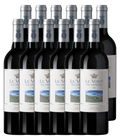 Le Volte dell’Ornellaia Toscana IGT 2024 · 12er Édition (12 × 0,75 l) · Magnum home & wine