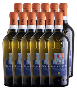 Lugana Riserva DOC Molceo 2023 · Zwölfer Édition (12 × 0,75 l) · Magnum home & wine