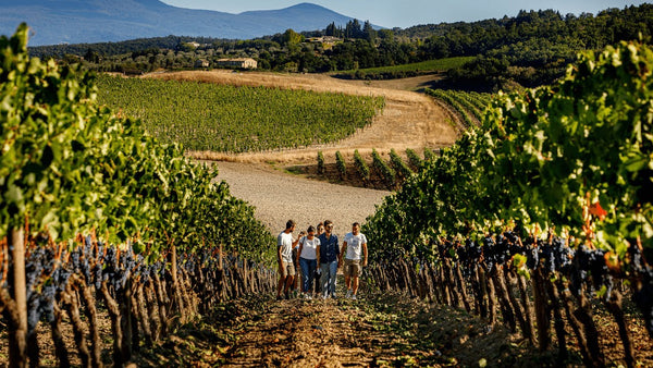 Weingut Franco Pacenti