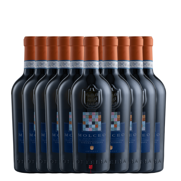 Molceo Set bei Magnum home & wine Collections