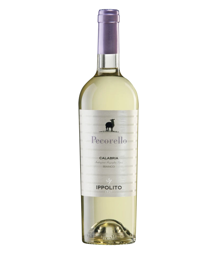 Ippolito Pecorello Calabria Bianco IGT 2024 · 0,75 l Normflasche · Magnum home & wine