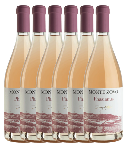 Monte Zovo Phasianus Verona Rosato IGT BIO · 6er Édition (6 × 0,75 l) · Magnum home & wine