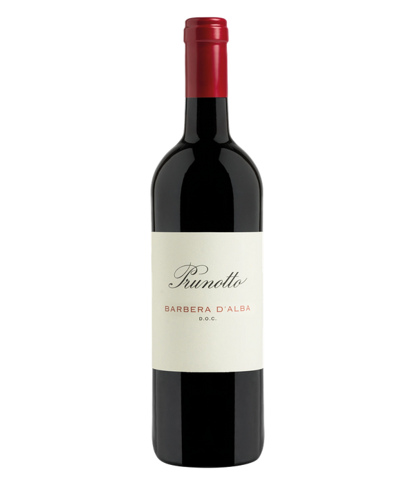 Prunotto Barbera d’Alba DOC · 0,75 l Normflasche · Magnum home & wine