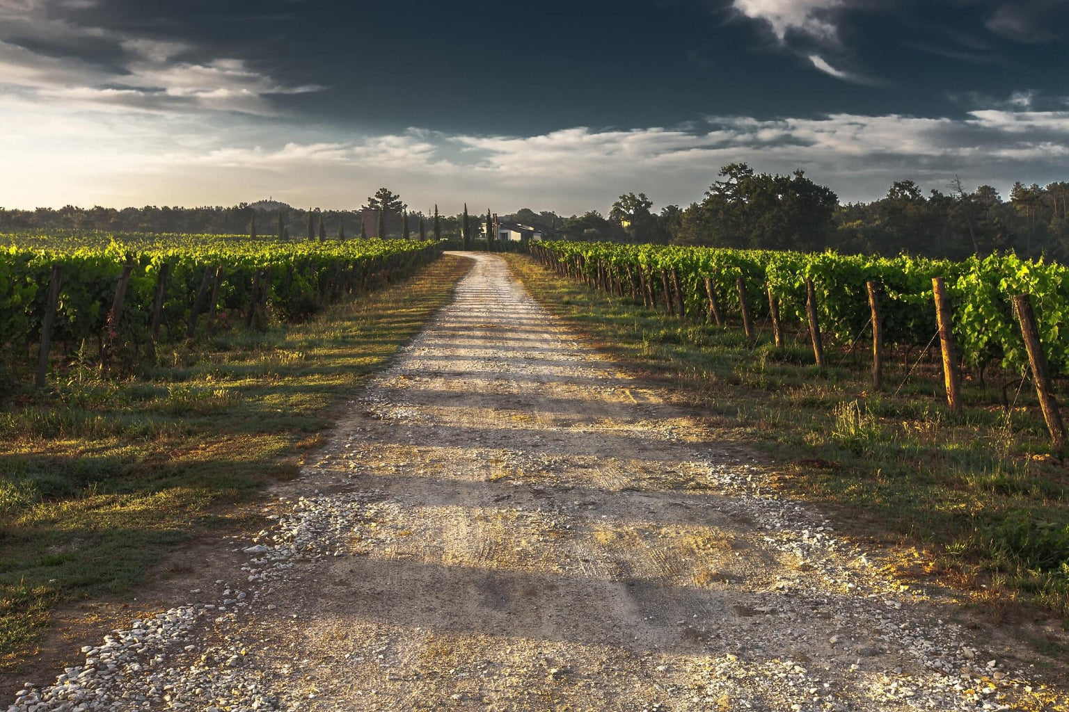 region-australien bei Magnum home&wine collections