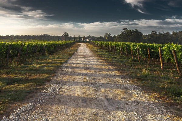region-australien bei Magnum home&wine collections