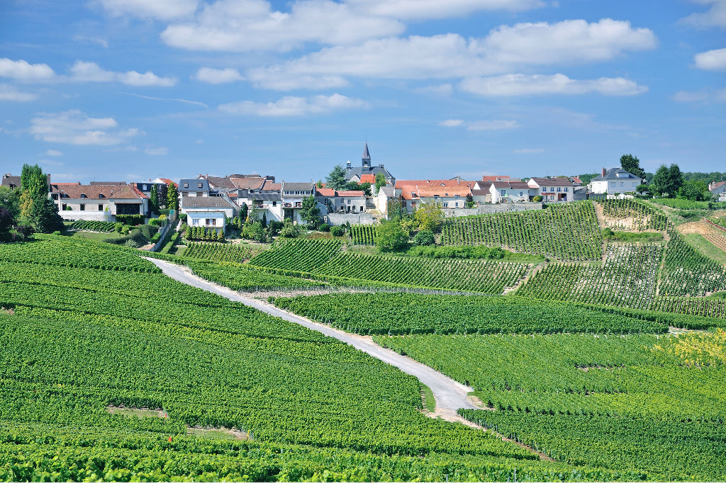 region-champagner Magnum home & wine Collections