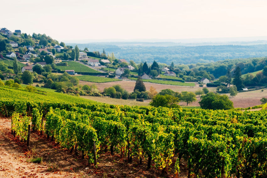 region-loiretal bei magnum home&wine