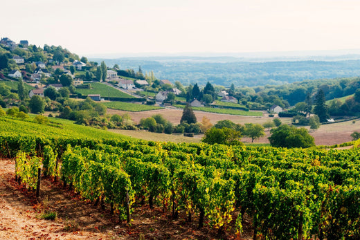 region-loiretal bei magnum home&wine