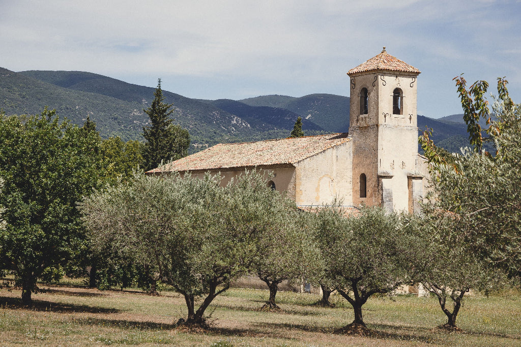 region-provence Magnum home & wine Collections