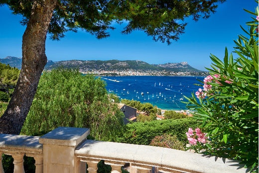 region-provence bei magnum home&wine