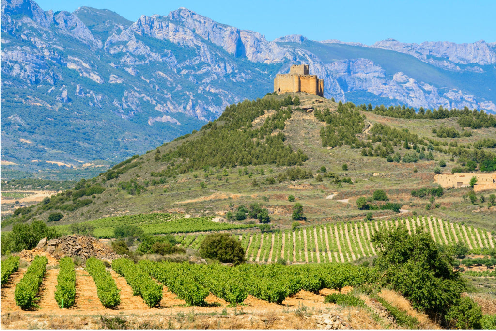region-rioja bei Magnum home&wine Collections