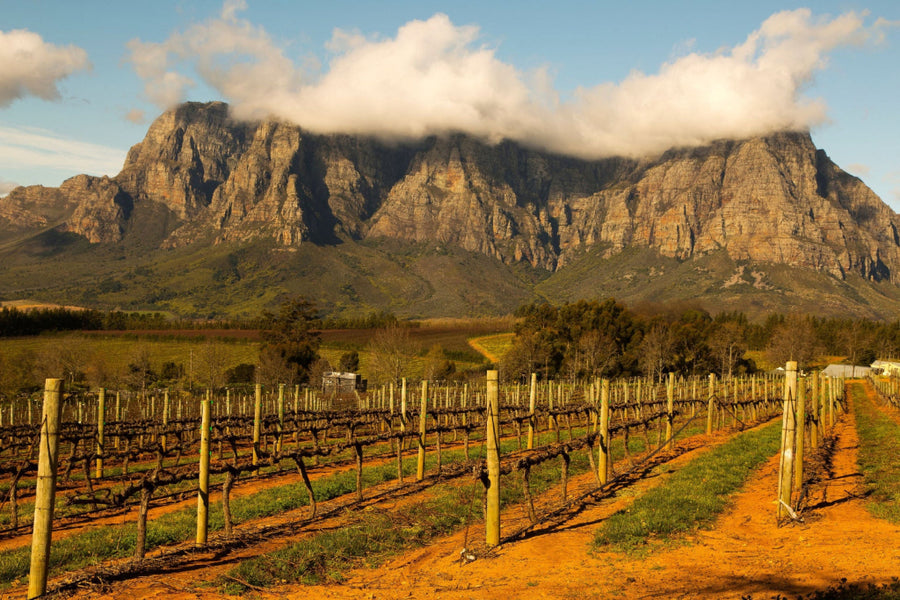 Western Cape