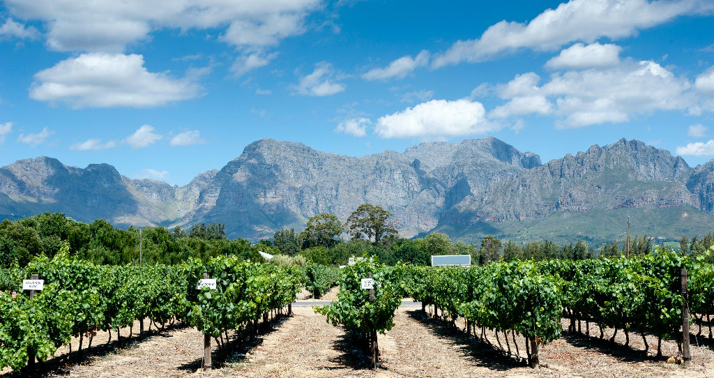 region-sa-frankschoek  Magnum home & wine Collections