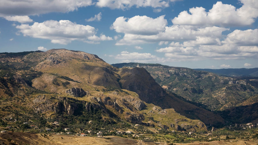 Paarl