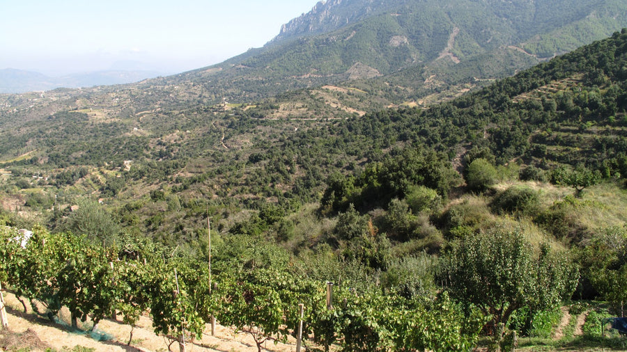 Sardinien